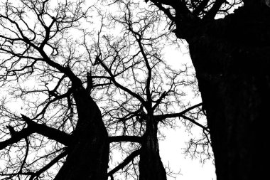 güzel doğal manzaralar, mevsimler ve hava,