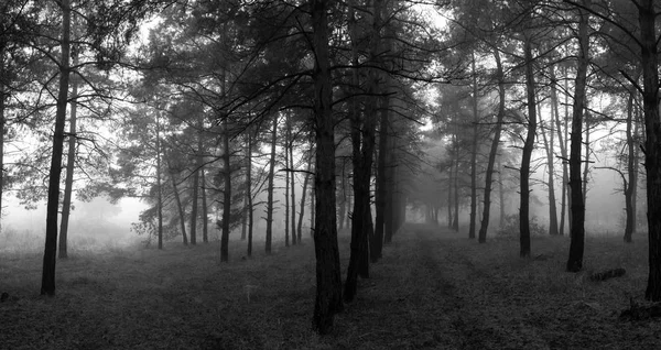 Nádherné Přírodní Krajiny Roční Období Počasí — Stock fotografie