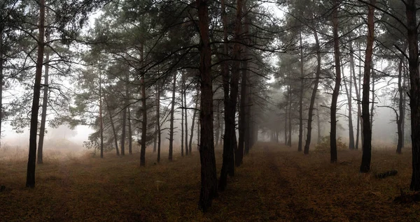 Mooie Natuurlijke Landschappen Seizoenen Weer — Stockfoto