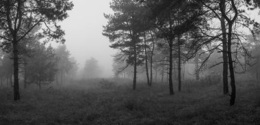 güzel siyah beyaz manzara