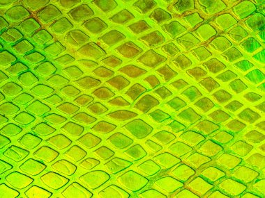 güzel yapısal yeşil arka plan arka plan