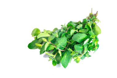 Beyaz arka plan üzerinde izole taze nane demet