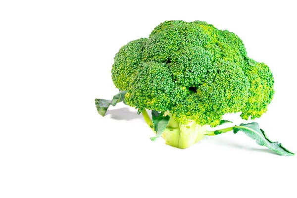 Fresh Broccoli Isolated White Background — Stock Photo, Image