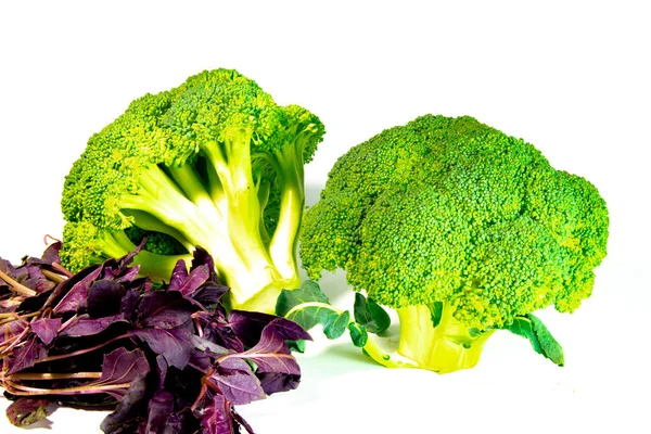 Fresh Broccoli Basil Leaves Isolated White Background — Stock Photo, Image