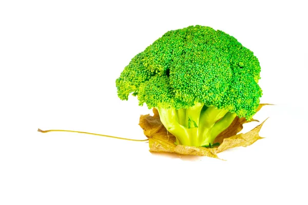 Beautiful Green Broccoli Cabbage White Background — Stock Photo, Image