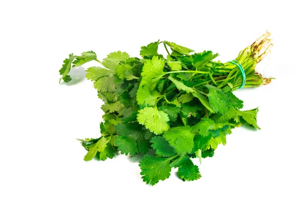 Bunch Fresh Green Parsley Isolated White Background — Stock Photo, Image