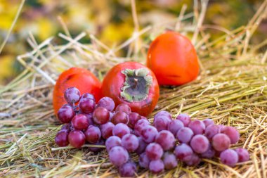sulu lezzetli Trabzon hurması ve mavi üzüm