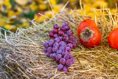 Lezzetli olgun hurma ve üzüm haystack üzerinde