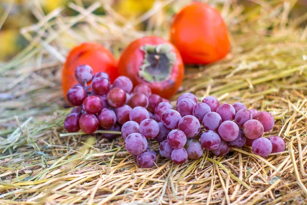 Juicy Tasty Persimmon Blue Grapes — Stock Photo, Image