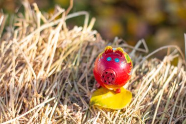 güzel kırmızı domuz oyuncak