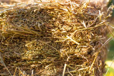 Güneşli yaz günde kadar Haystack görünümü Kapat