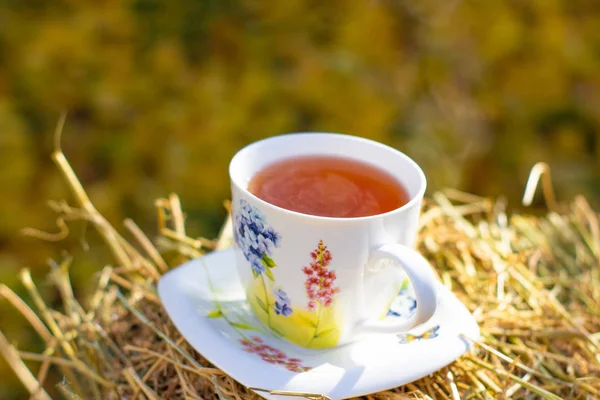 cup of hot tea in nature