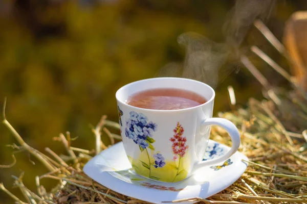 cup of hot tea in nature
