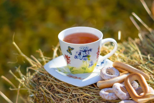 cup of hot tea in nature