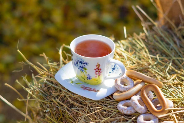 Чашка Горячего Чая Природе — стоковое фото