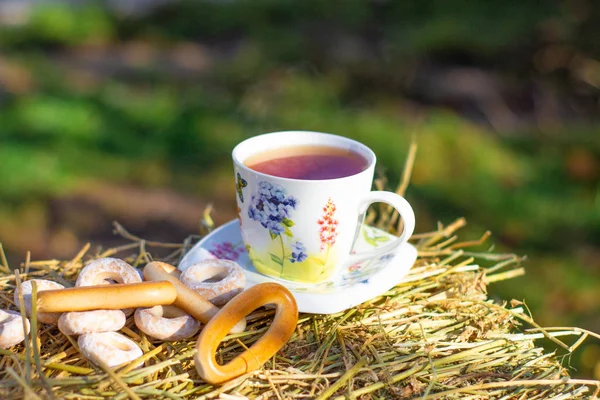 Чашка Горячего Чая Природе — стоковое фото