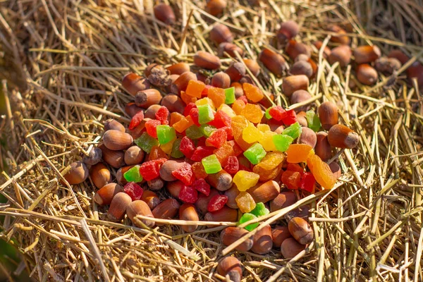 Zár Megjelöl Kilátás Mogyoró Cukrozott Gyümölcs Szénakazalban — Stock Fotó