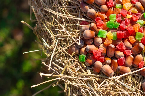 干し草のヘーゼル ナッツと砂糖漬けの果物の表示を閉じる — ストック写真