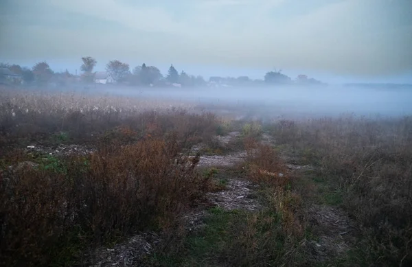 Beautfiul Autumnal Meadow Morning Mist — Stock Photo, Image