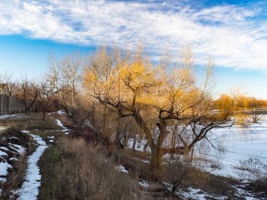 çam ormanı ile manzara ve kışın kar