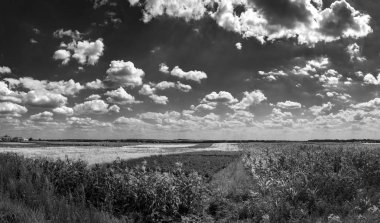 siyah ve beyaz doğal peyzaj