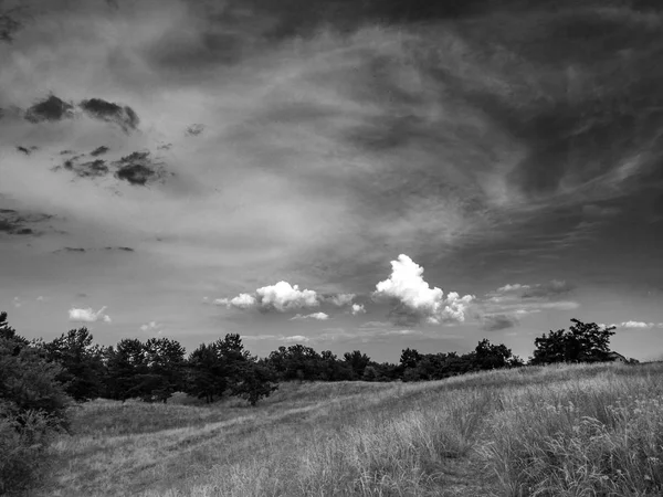 Black White Natural Landscape — Stock Photo, Image