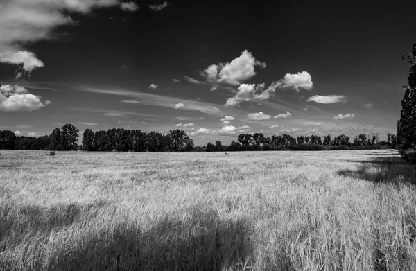 Paesaggio Naturale Bianco Nero — Foto Stock