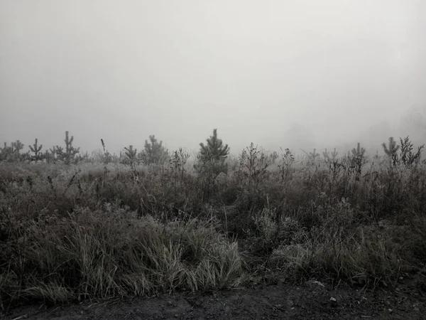 Black White Natural Landscape — Stock Photo, Image