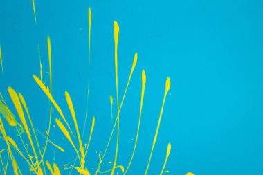 Renkli arka plan ile fırça darbeleri