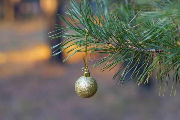 Błyszczące Boże Narodzenie Ball Świerku Zbliżenie — Zdjęcie stockowe