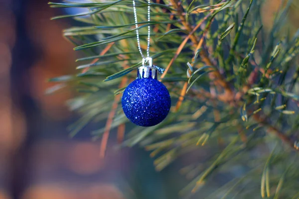 Palla Natale Scintillante Abete Rosso Vista Vicino — Foto Stock