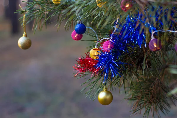 Fichte Mit Weihnachtskugeln Geschmückt Nahsicht — Stockfoto