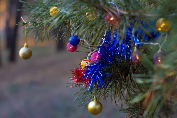 Spruce Trädet Dekorerade Med Julen Bollar Närbild Visa — Stockfoto