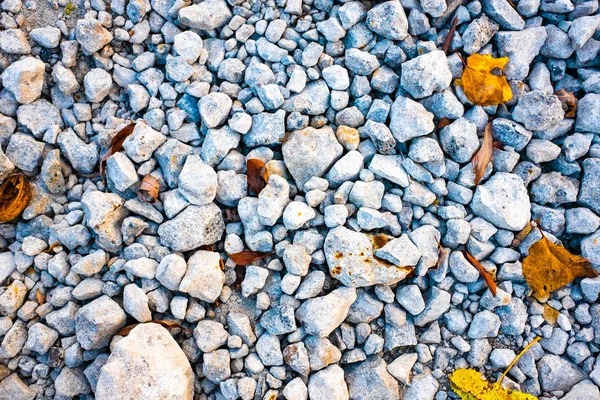 Piedras Hojas Otoño Textura Piedra — Foto de Stock