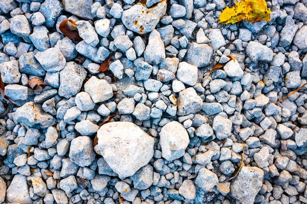 Stenen Herfst Bladeren Stenen Textuur — Stockfoto