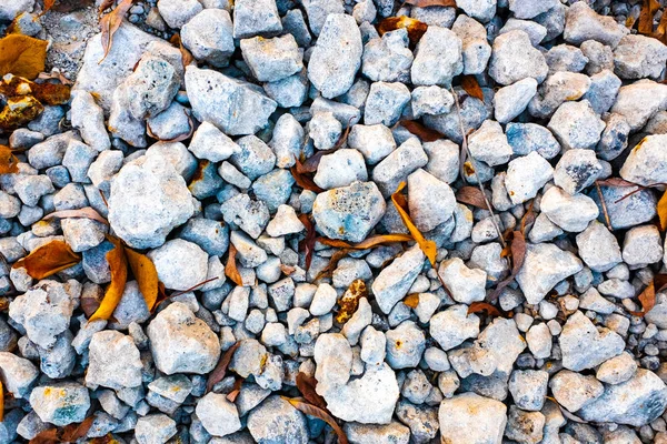 石头和秋天叶子 石头纹理 — 图库照片