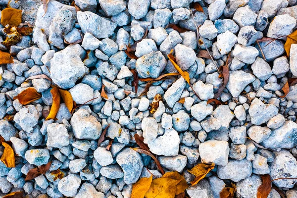 stones and autumn leaves, stone texture