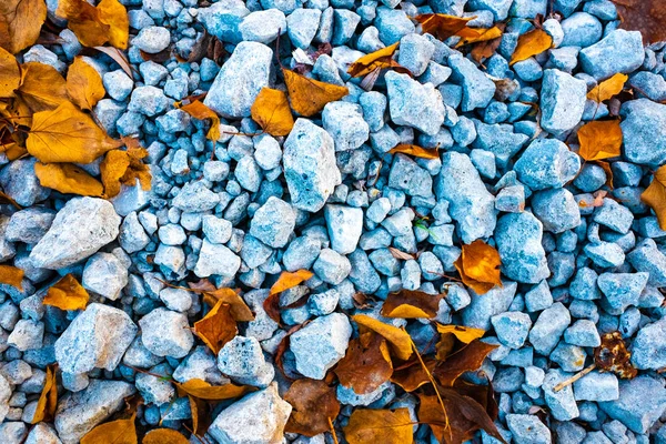 stones and autumn leaves, stone texture