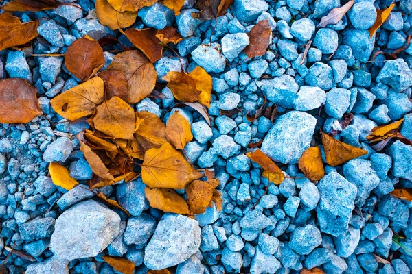 stones and autumn leaves, stone texture