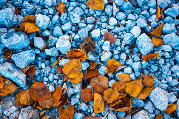 Stenen Herfst Bladeren Stenen Textuur — Stockfoto