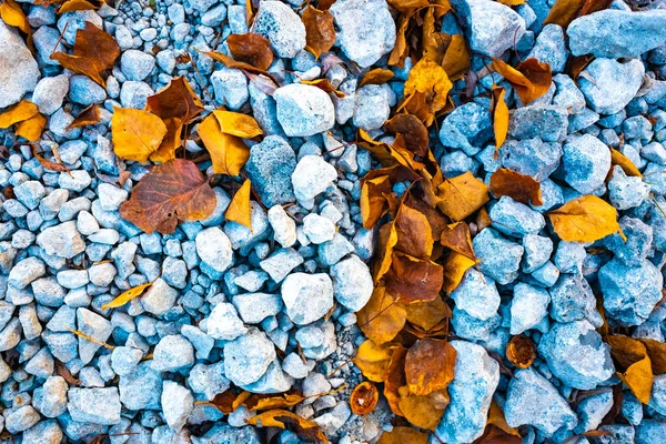 stones and autumn leaves, stone texture