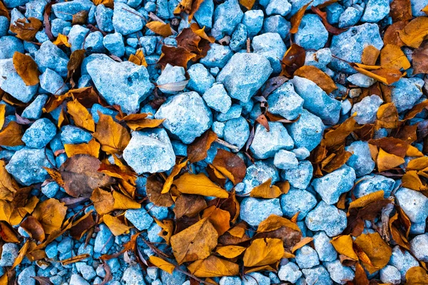 stones and autumn leaves, stone texture