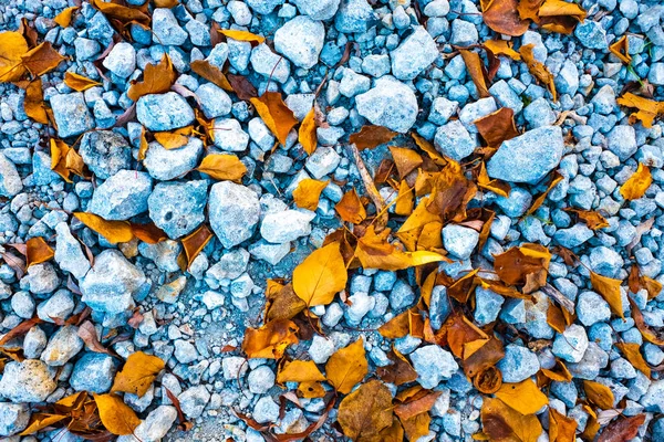 stones and autumn leaves, stone texture