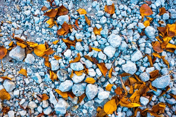 Каміння Осіннє Листя Кам Яна Текстура — стокове фото