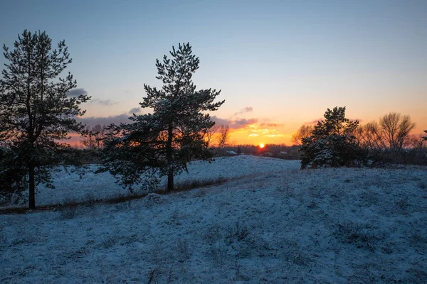 Beautiful Sunset Forest — Stock Photo, Image