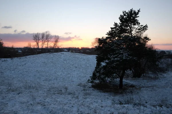 Magnifique Coucher Soleil Dans Forêt — Photo