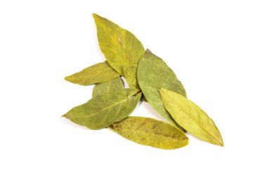 beyaz zemin üzerine yeşil Kuru defne yaprağı