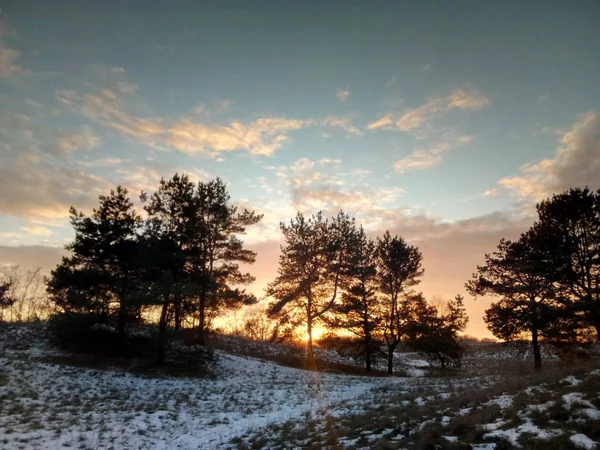 Paisagem Floresta Inverno Pôr Sol — Fotografia de Stock