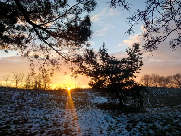 Paysage Forestier Hiver Coucher Soleil — Photo