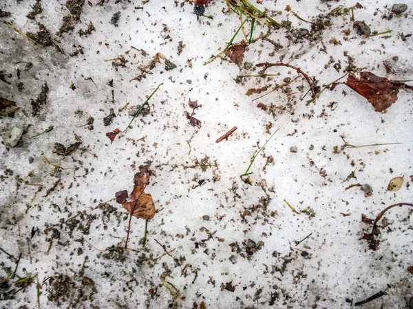 汚れた雪 汚雪のテクスチャ — ストック写真